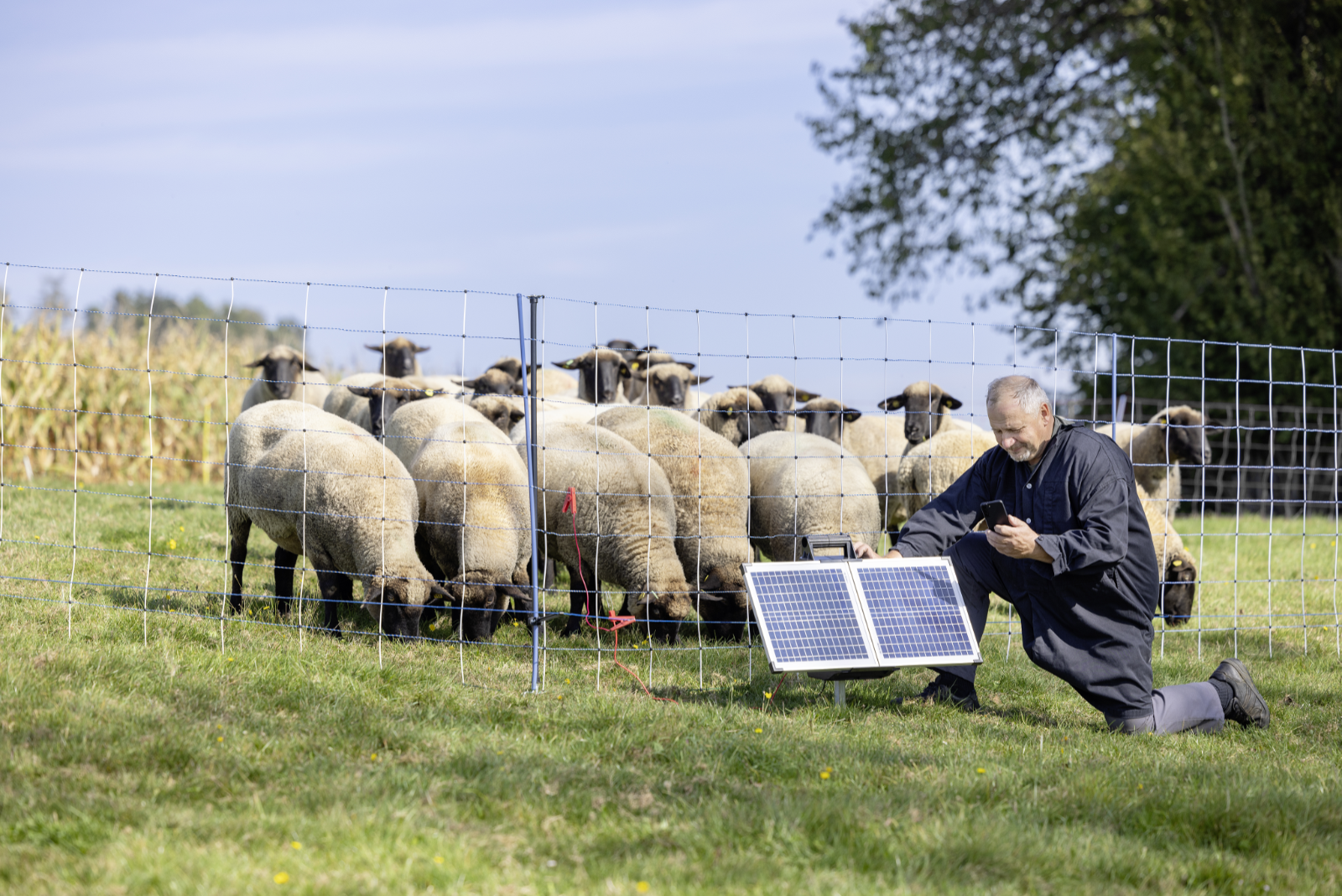 Weidezaungerät Solar SunPower S2400 Smart