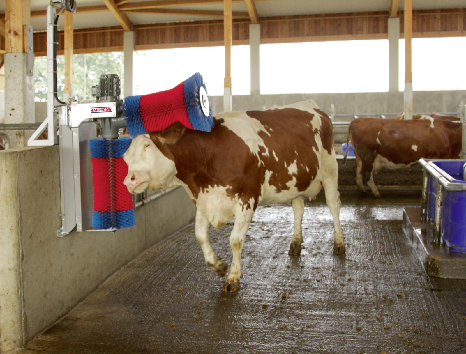 Kuhputzmaschine HappyCow DUO