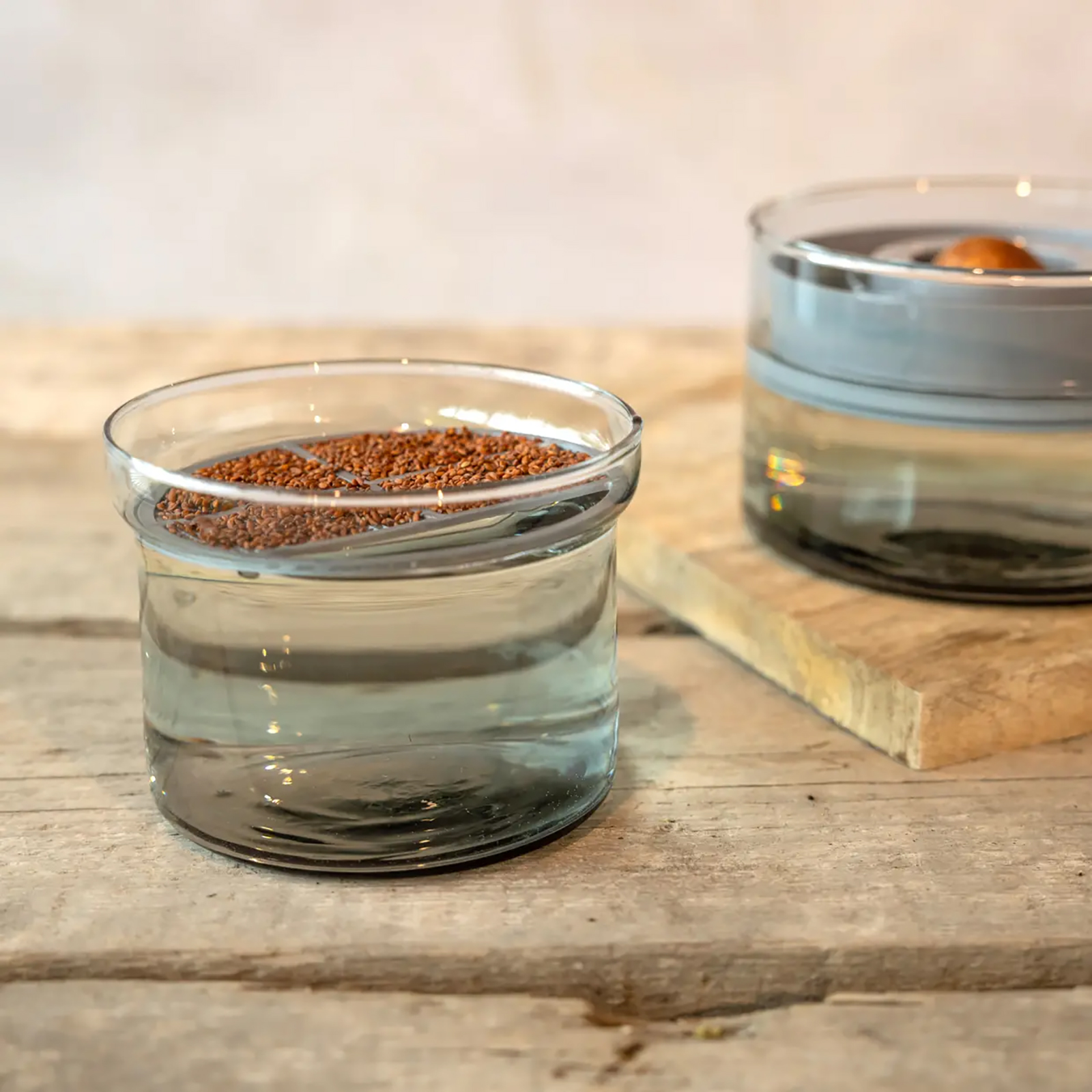 Set de culture de germination