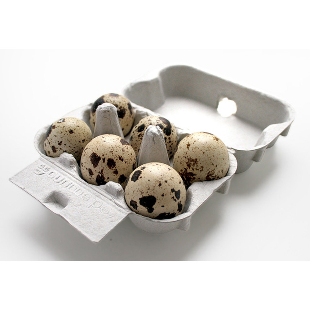 Boîte 6 œufs de caille grise