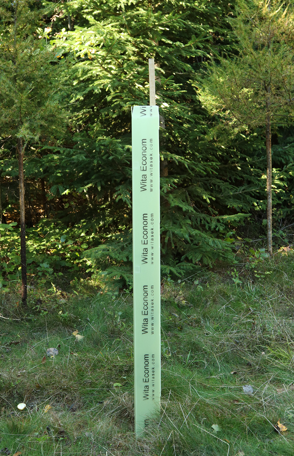 Colonne de protection pour arbres Eco Bois feuillu