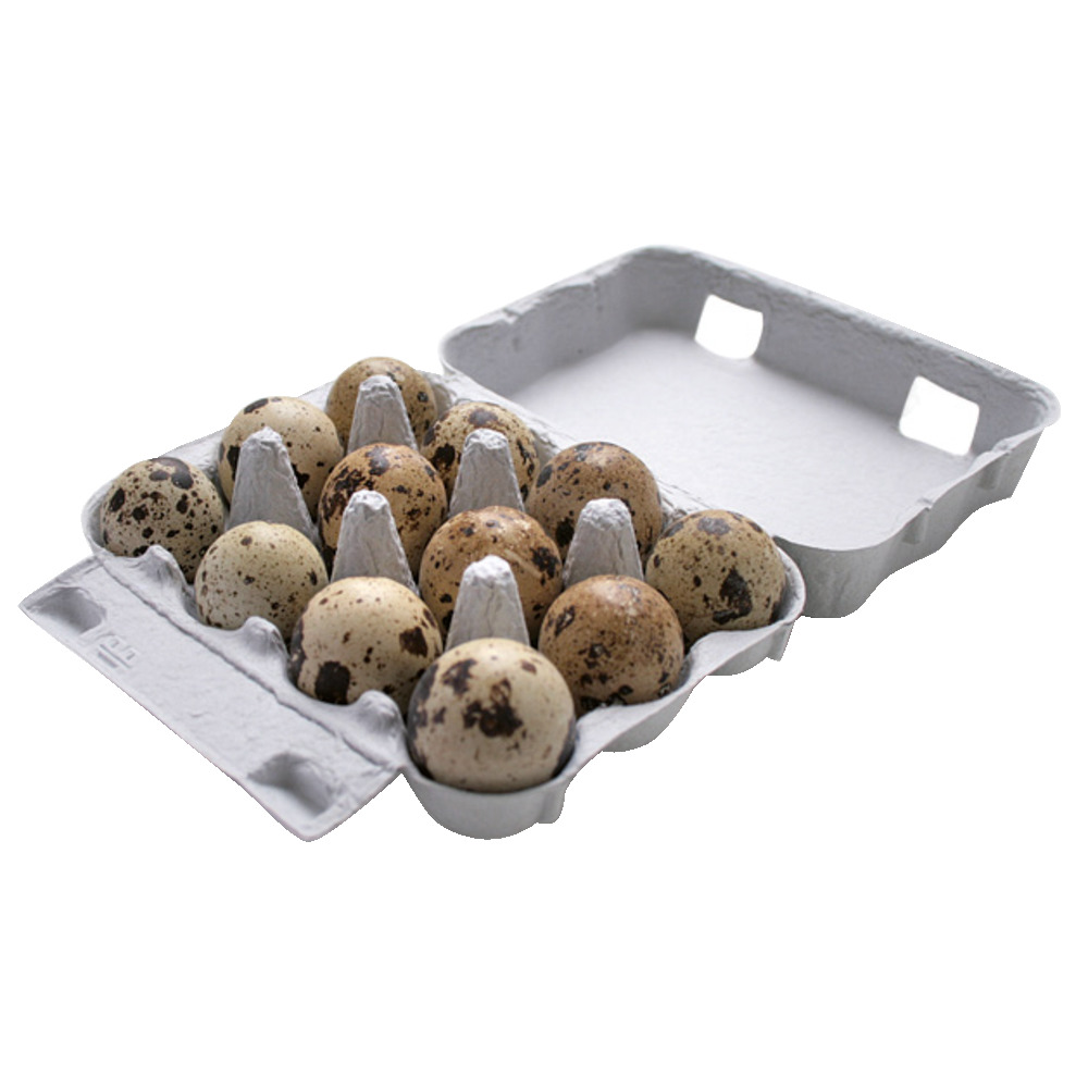 Boîte de 12 œufs de caille, gris