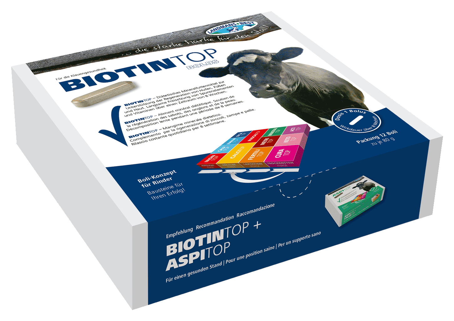 Bolus Biotintop - Boîte de 12