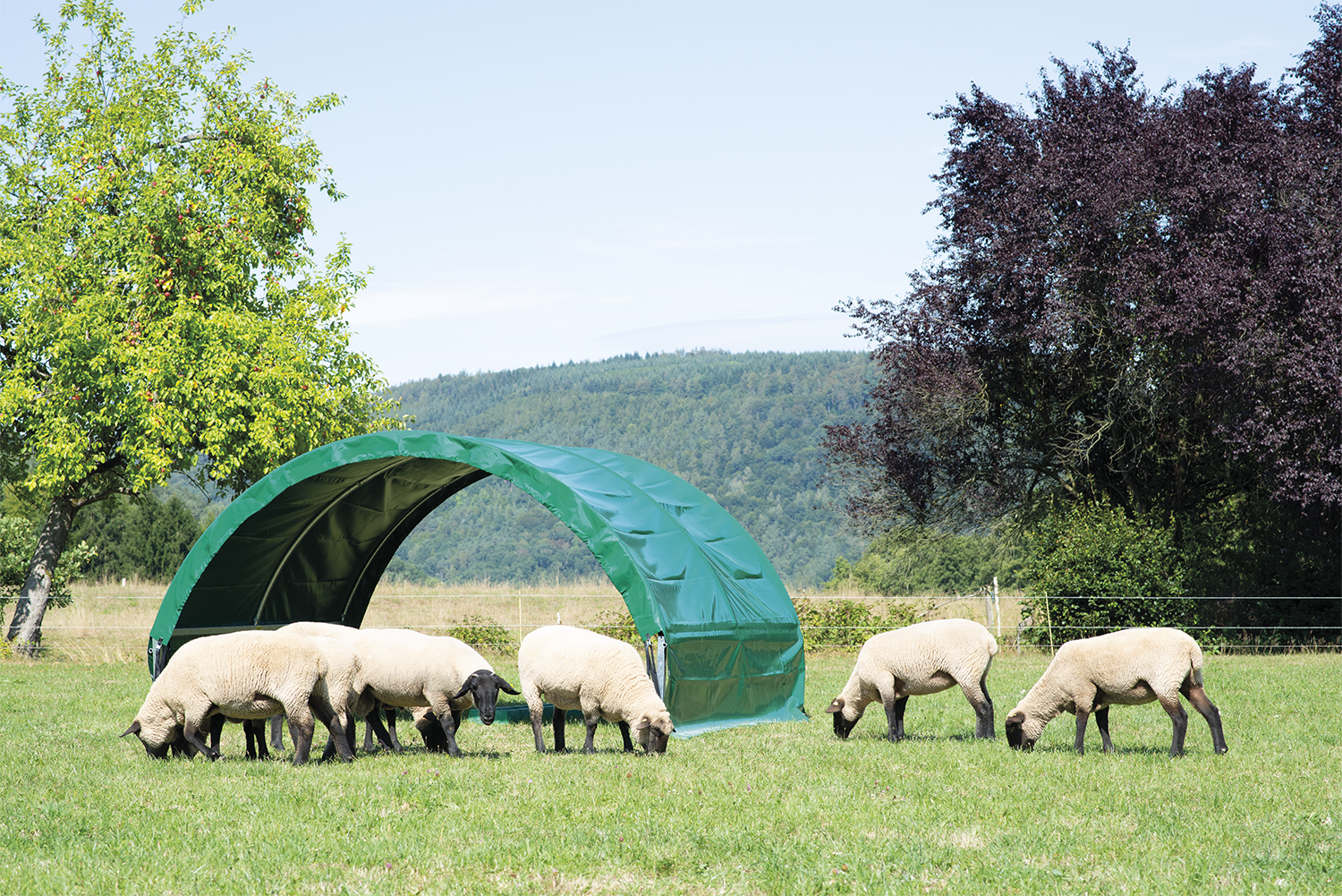 Kleintierzelt für Schafe und Ziegen