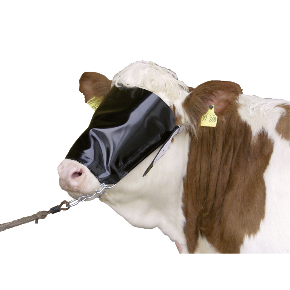 Nylon aveugle pour bovins