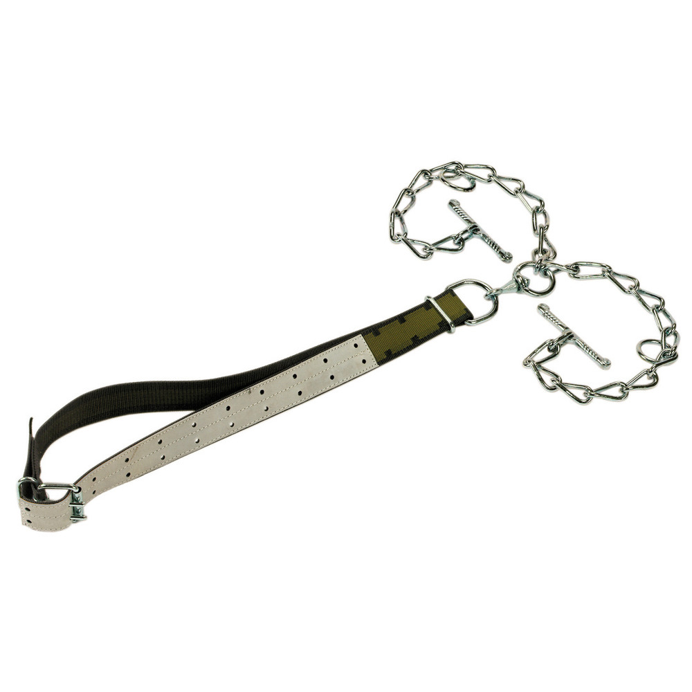 Connexion jeune taureau