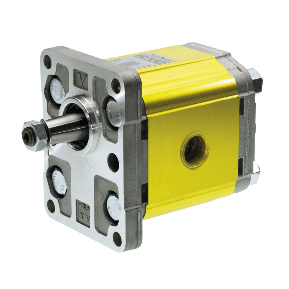 Hydraulikpumpe 17 ccm Drehrichtung rechts passend zu Schauer