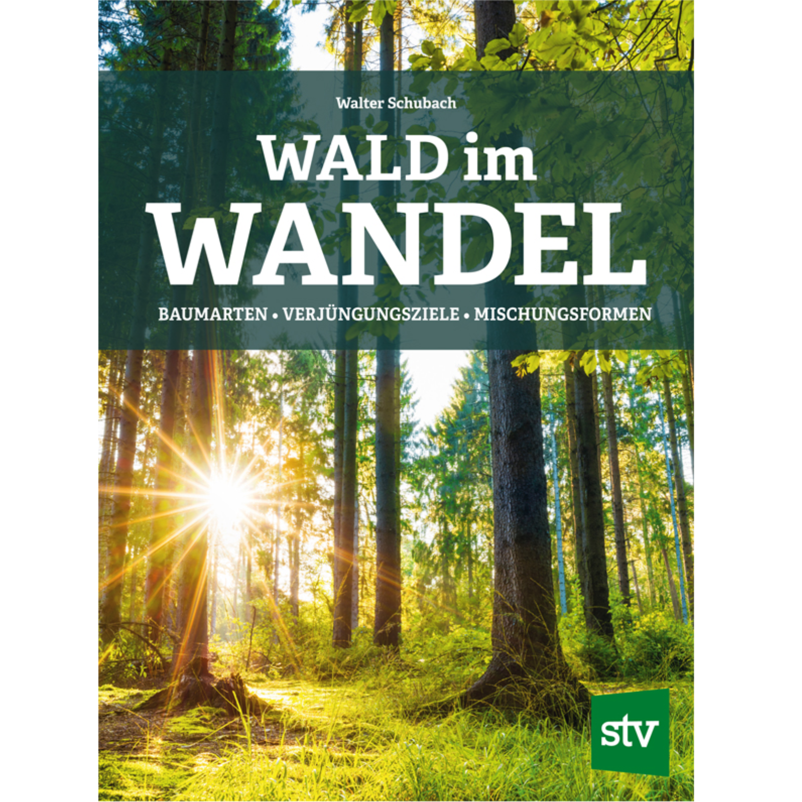 Wald im Wandel