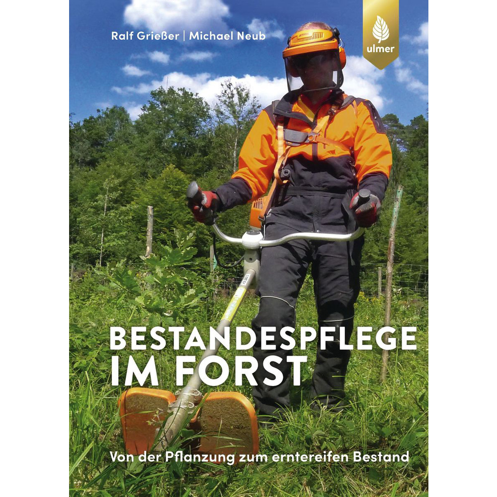 Bestandspflege im Forst
