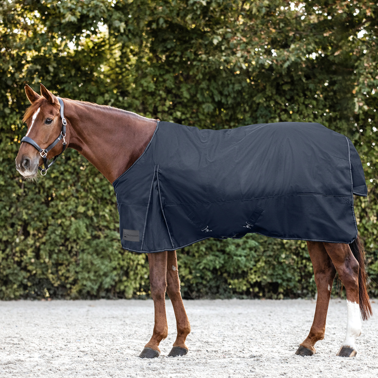 Couverture de cheval Nordic bleu nuit