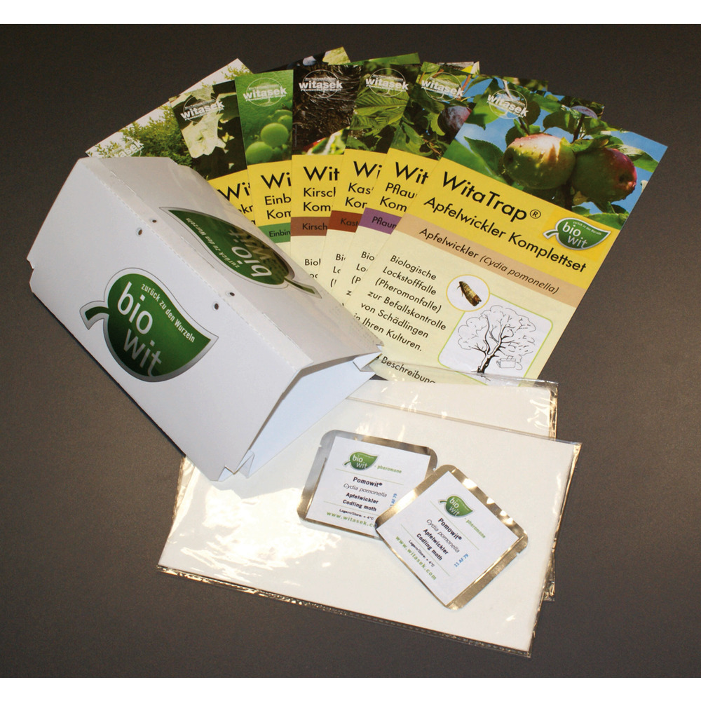 Ensemble complet de carpocapse de la pomme (Cydia pomonella)