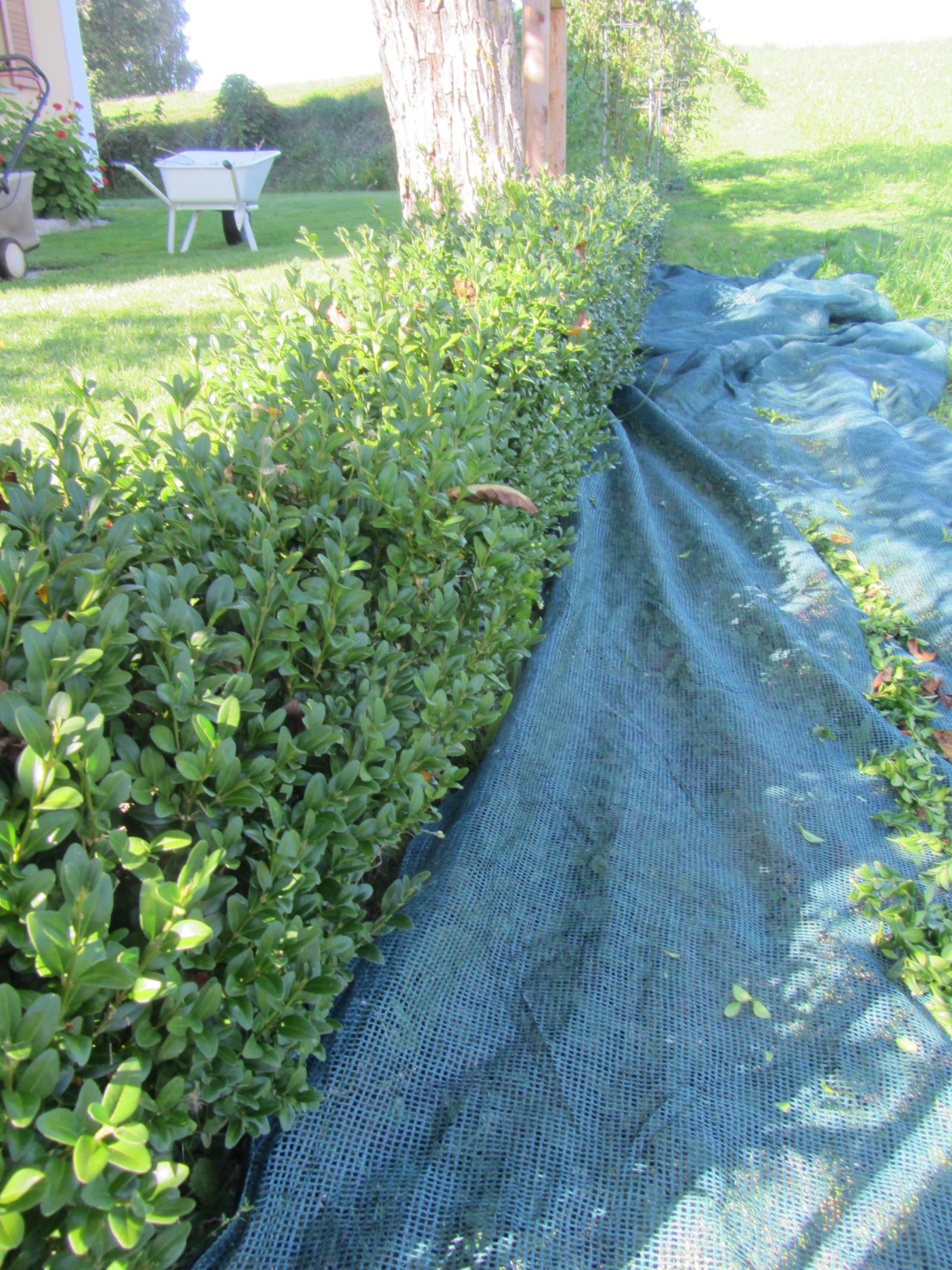 Filet de récolte rectangulaire