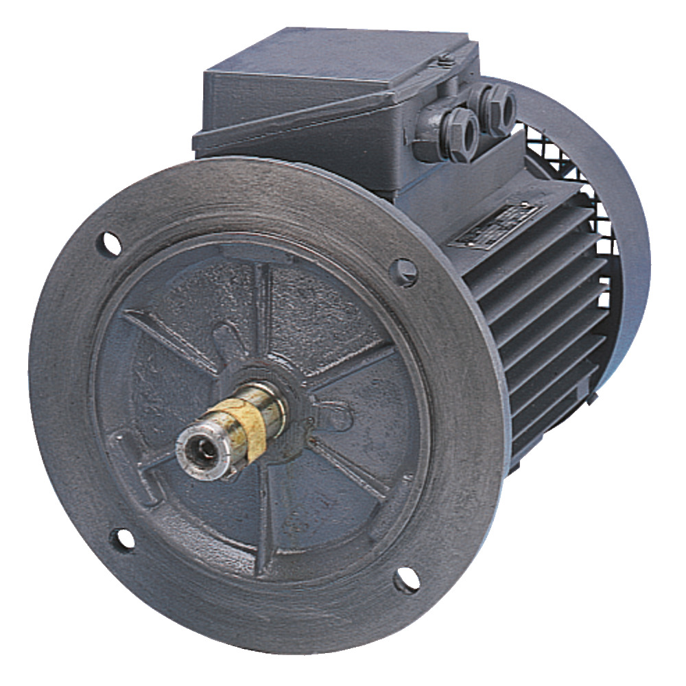 Moteur électrique pour pompes hydrauliques à bride