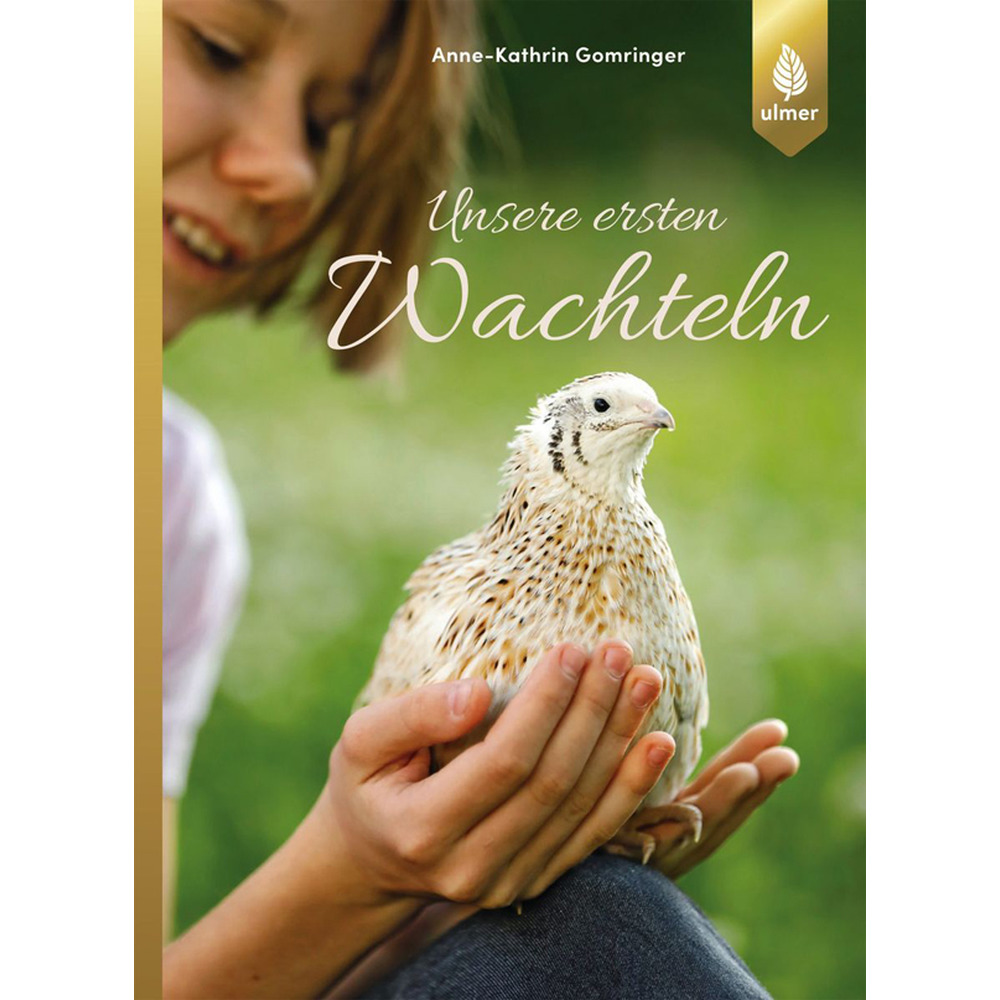 Nos premières cailles