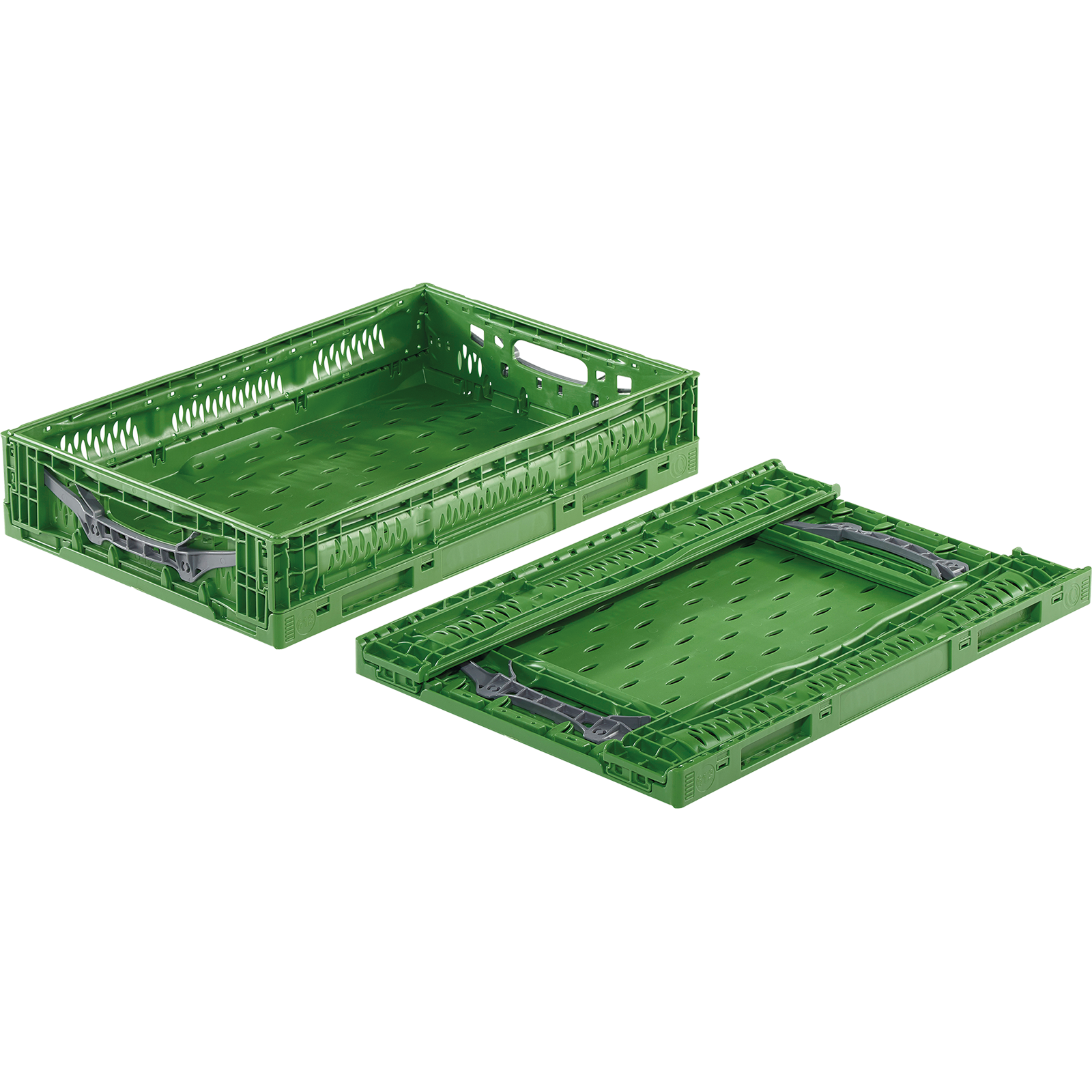 Klappbox Obst/Gemüse