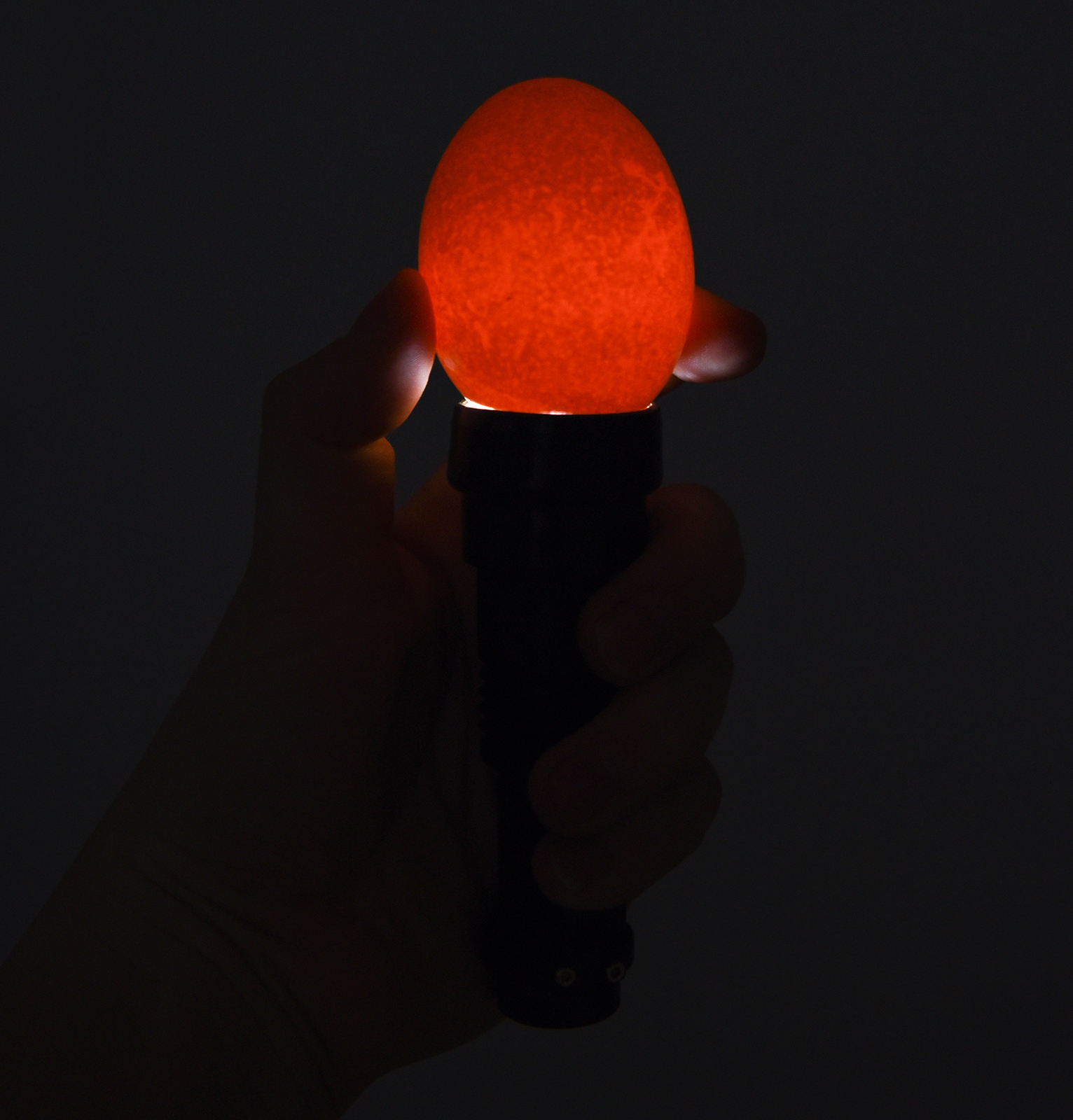 Schierlampe LED