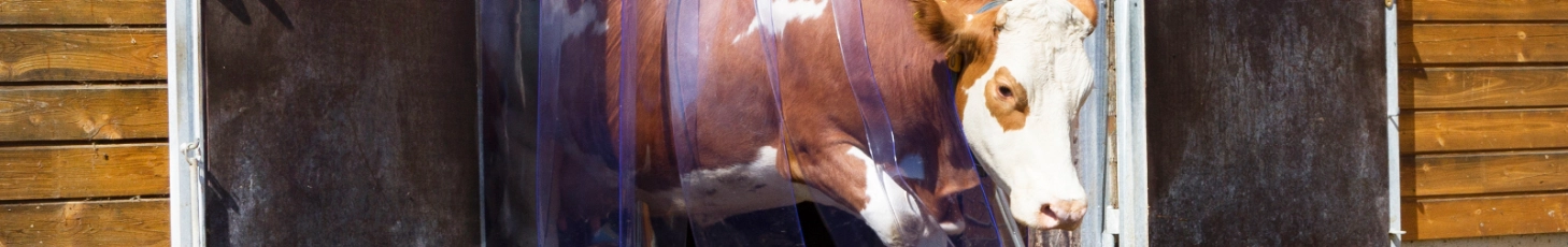 Protection contre le froid et les courants d'air dans l'étable!