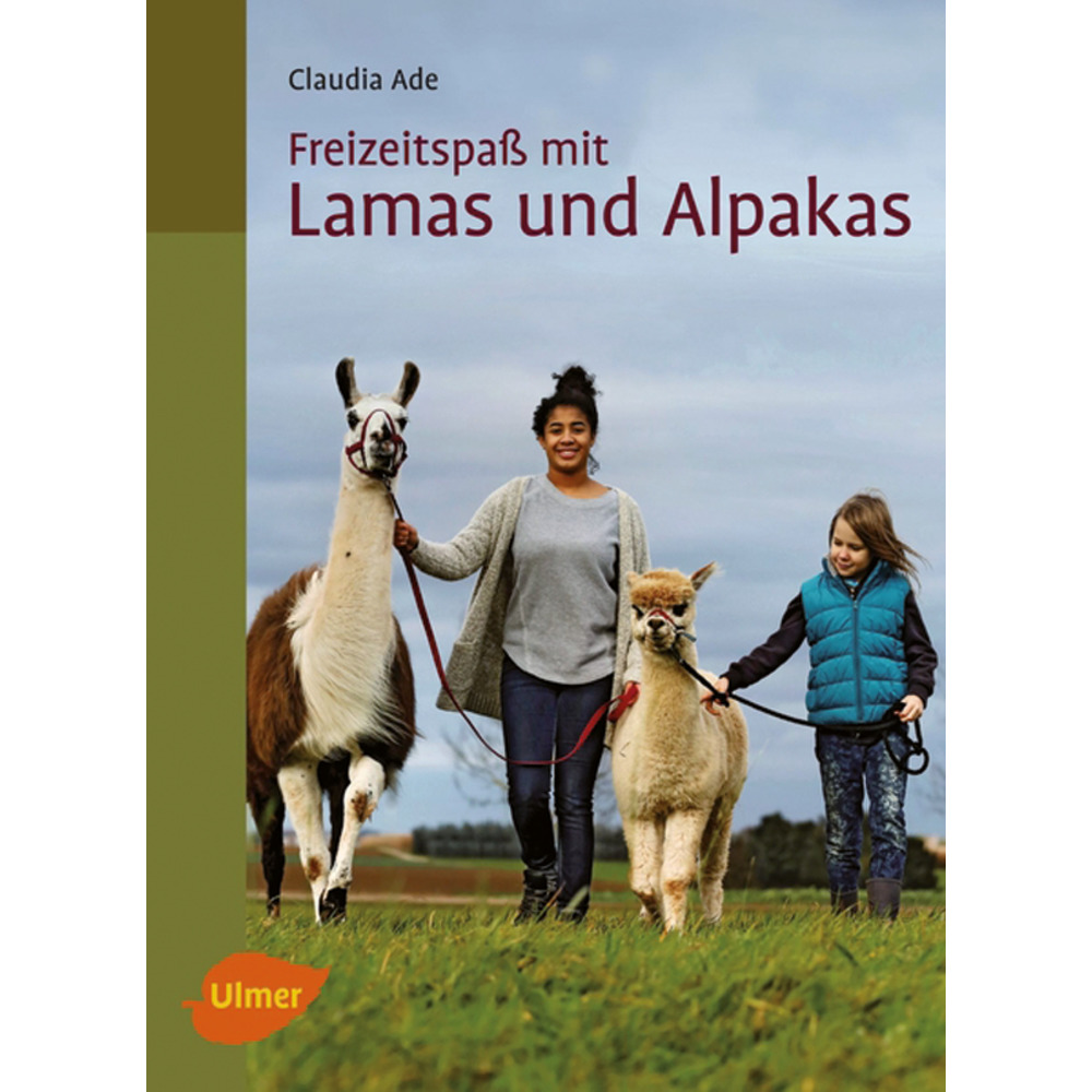 Plaisir de loisirs avec les lamas et les alpagas