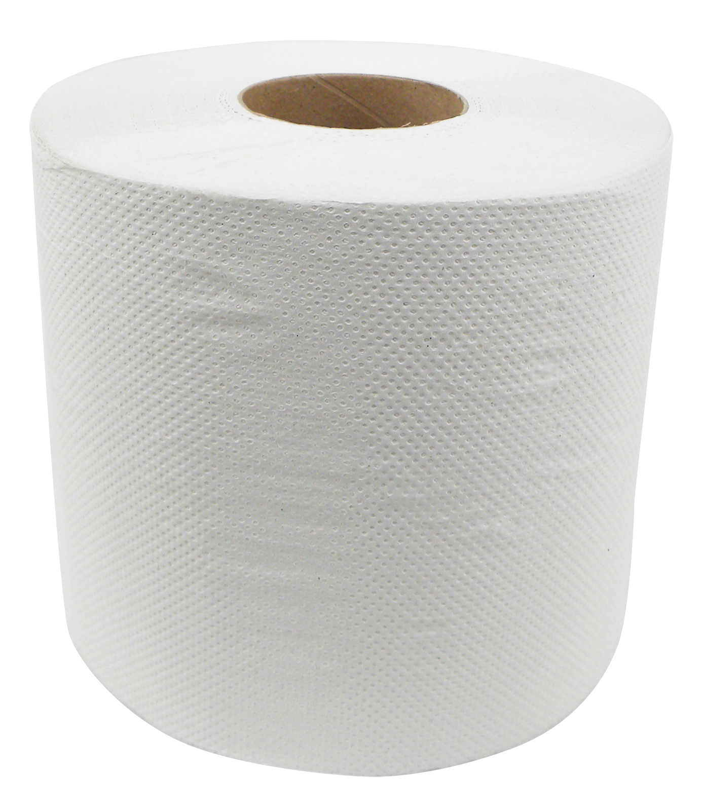 Putzpapier-Vlies