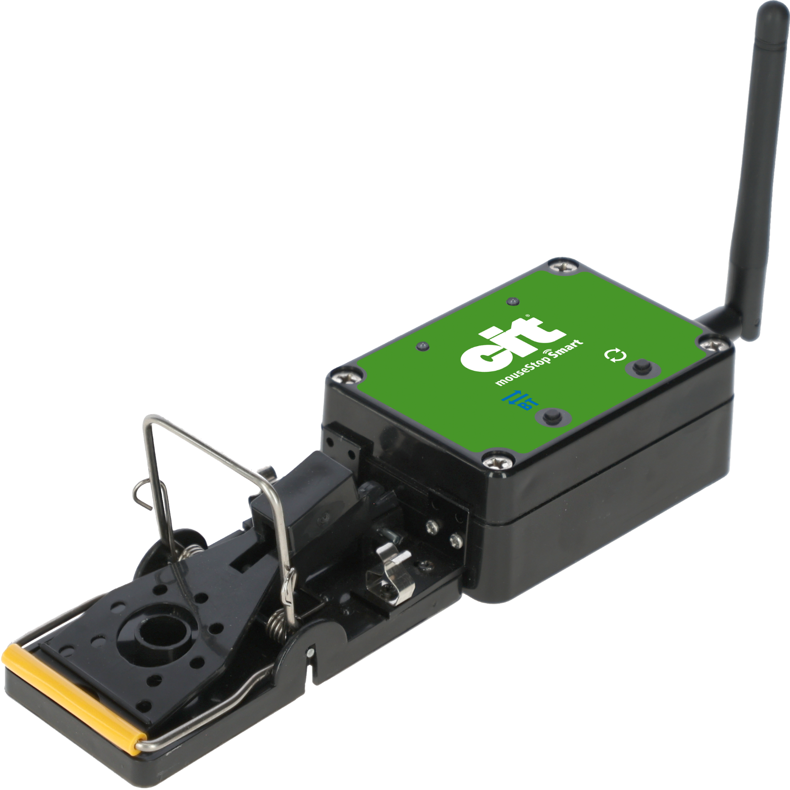 Mausefalle Smart MouseStop