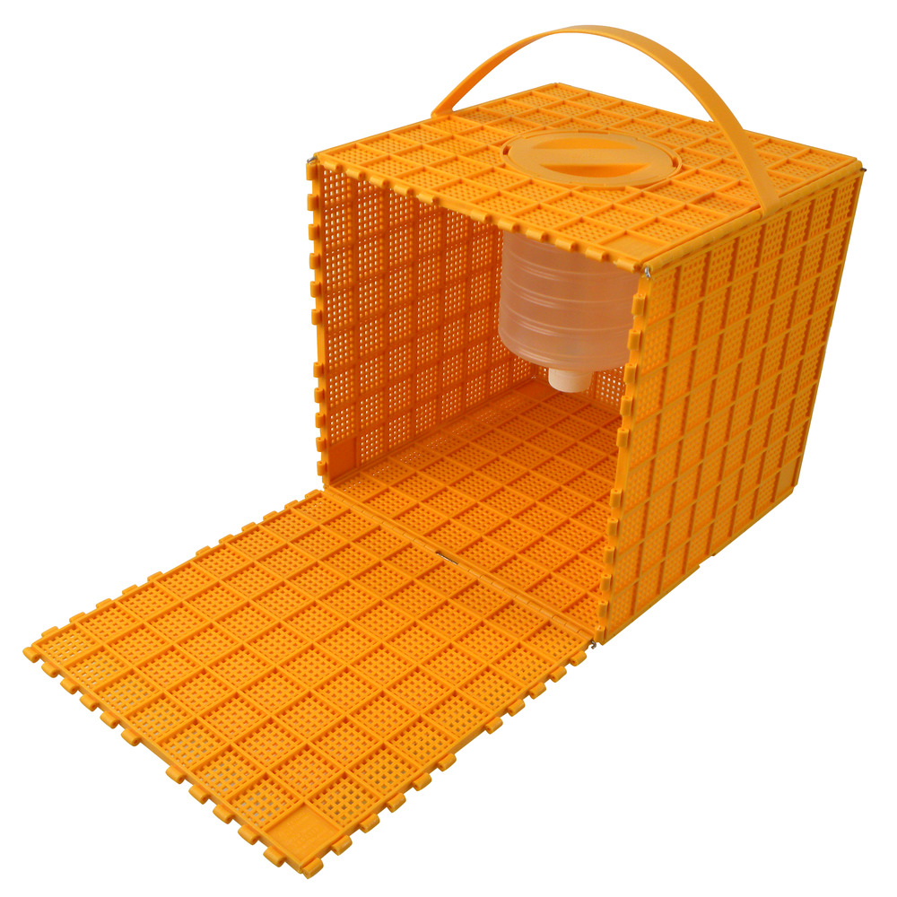 Multibox - Bienen Transport
