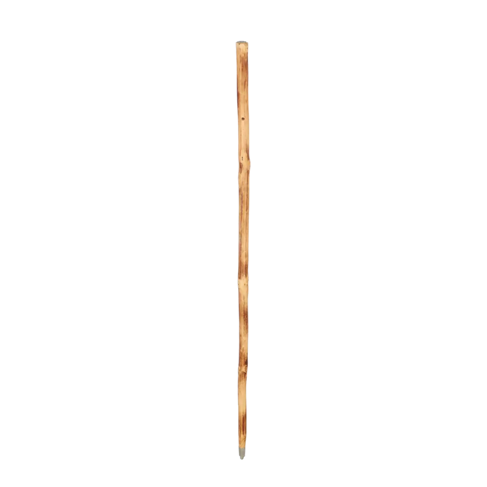 Wanderstock mit Kompass, Fichte Länge 120,5 cm