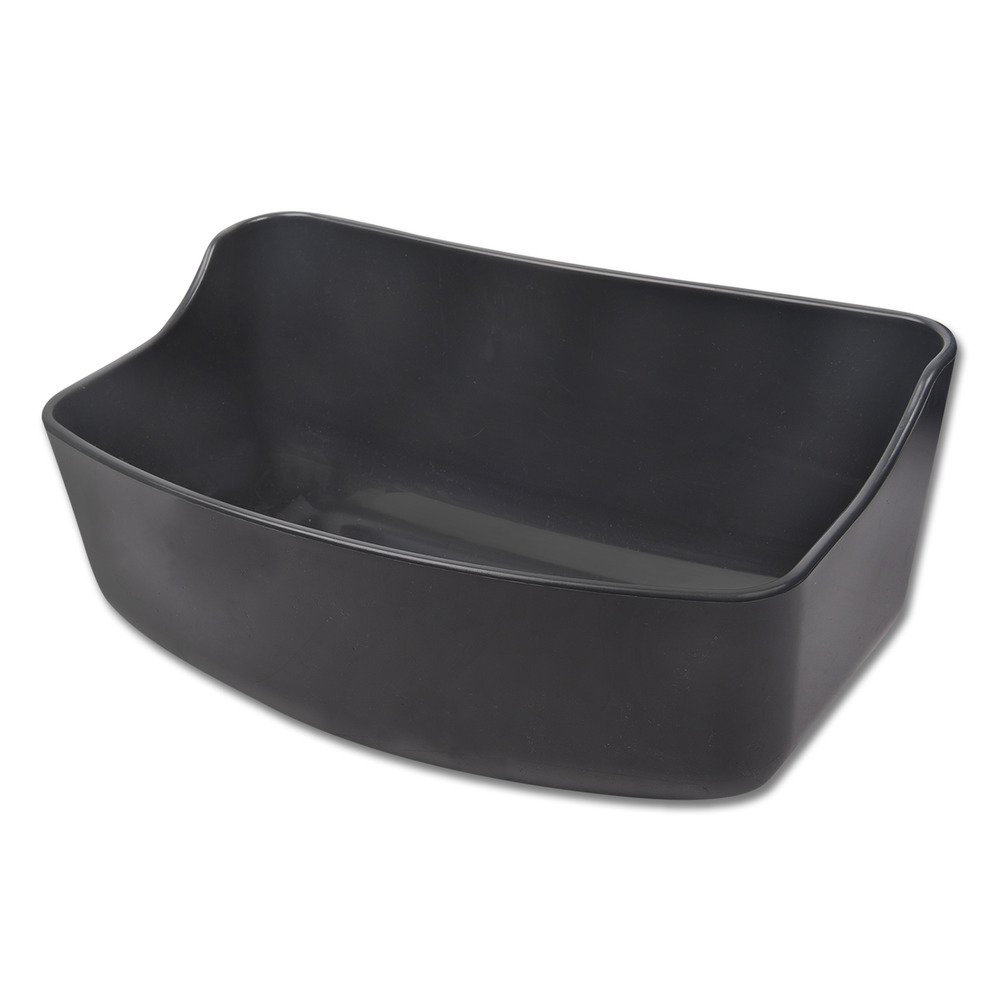 Auge Shetty et poulain, 5 l