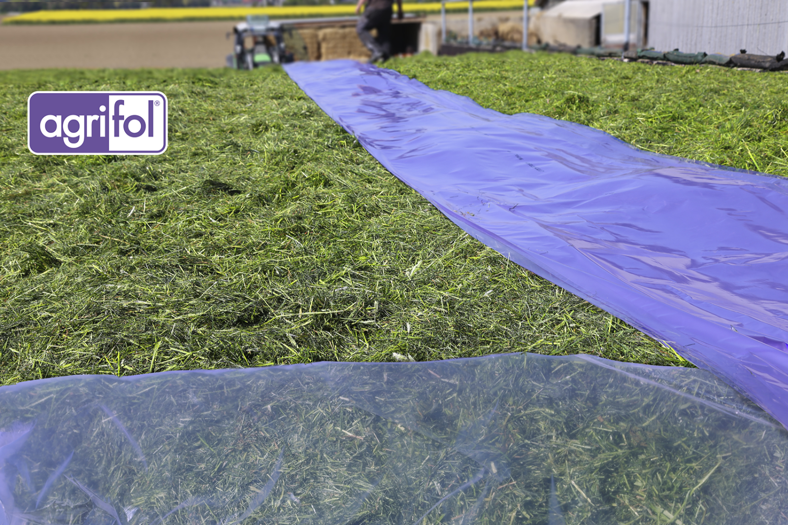 Film de protection agrifol