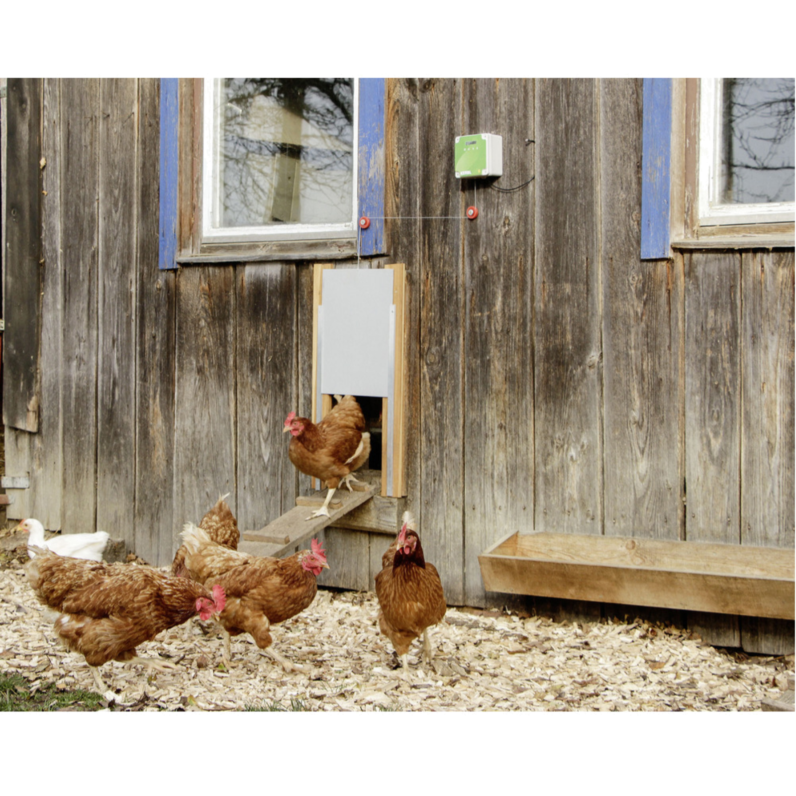 Kit solaire à accumulateur pour porte de poule BIO