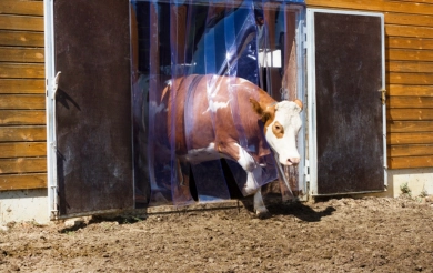 Protection contre froid!