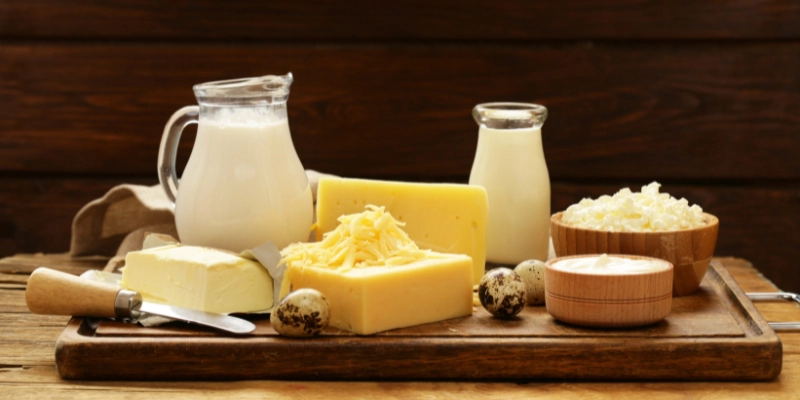 Ratgeber_MilchverarbeitungUndKseherstellung