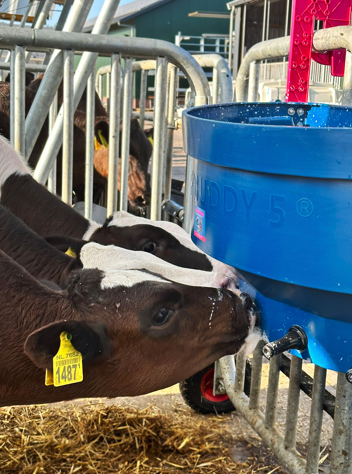 Kälbertränkewanne Calf Buddy 2 - 20 Liter