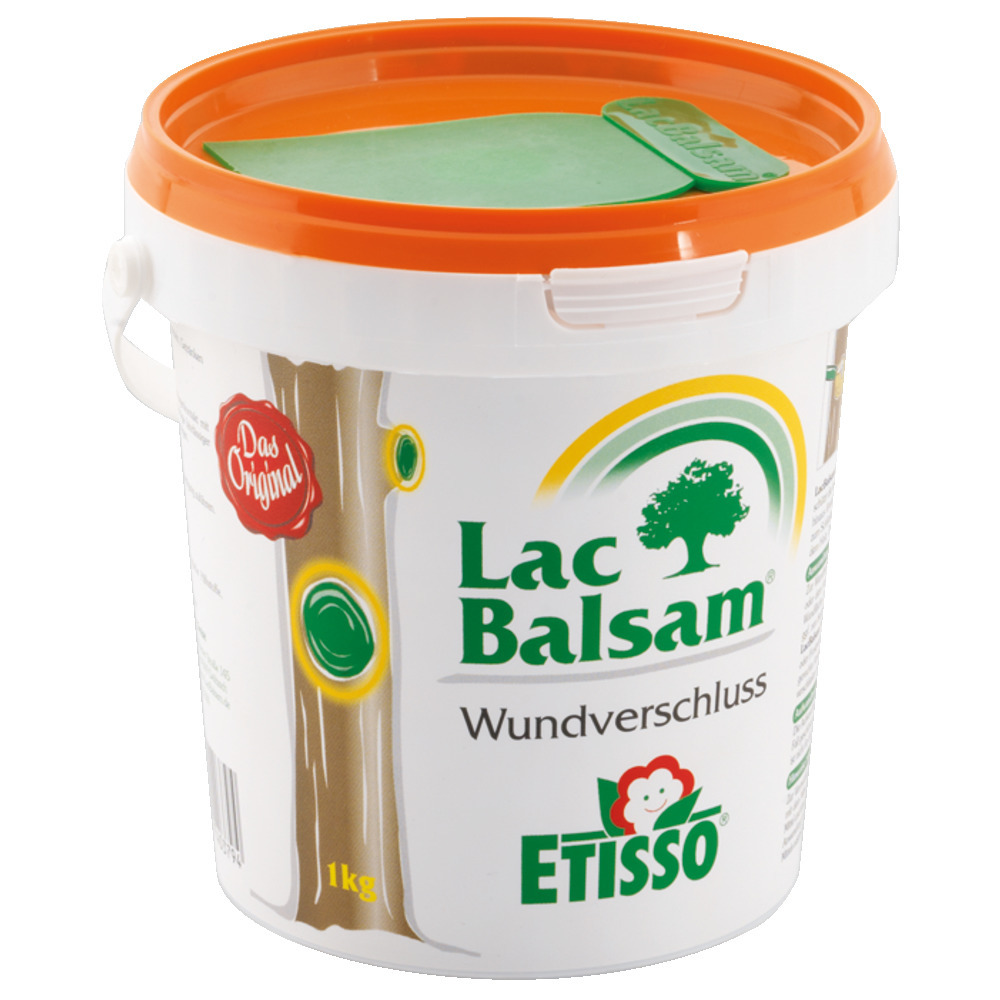 Fermeture de la plaie