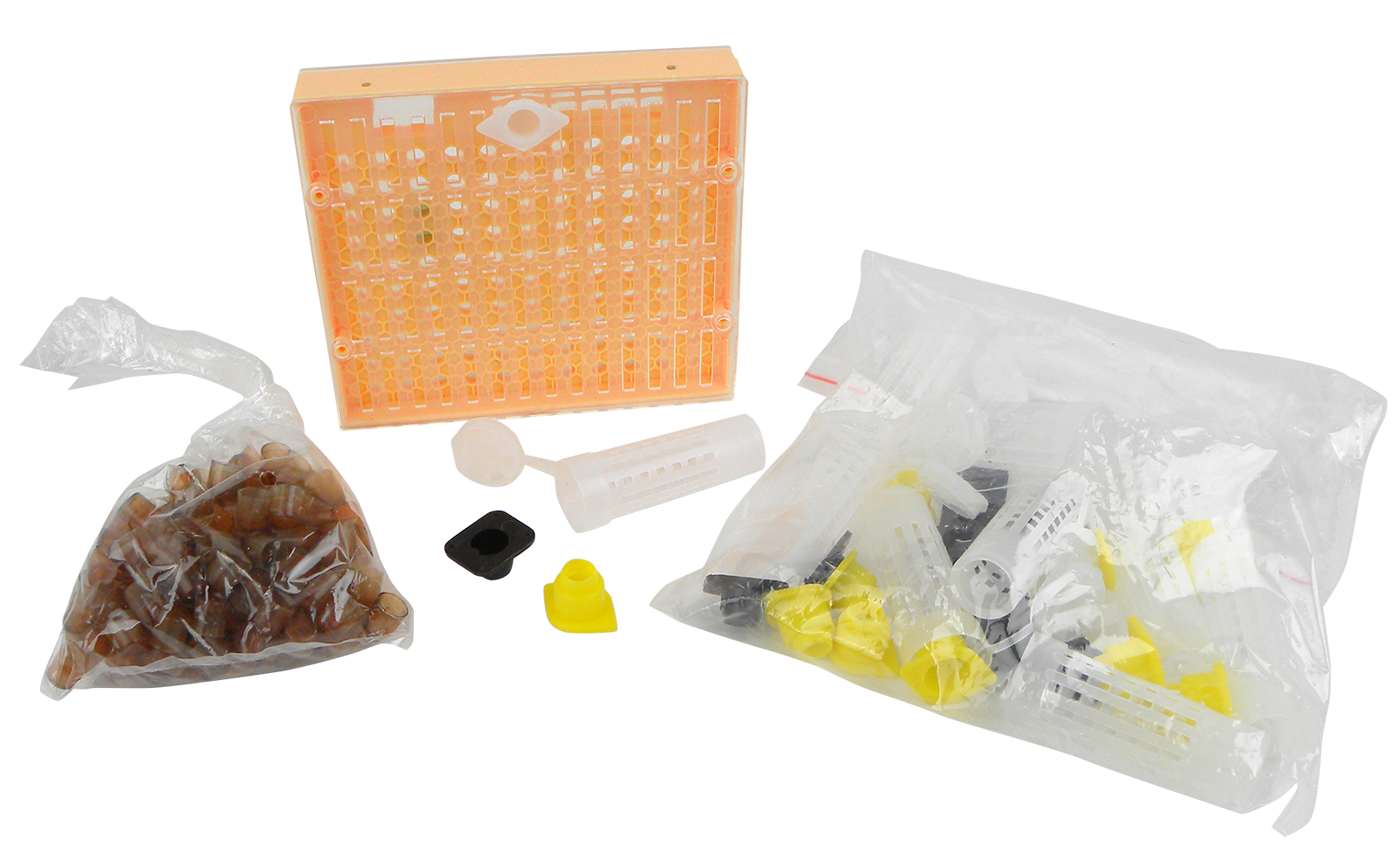 NICOT - Kit complet d'élevage