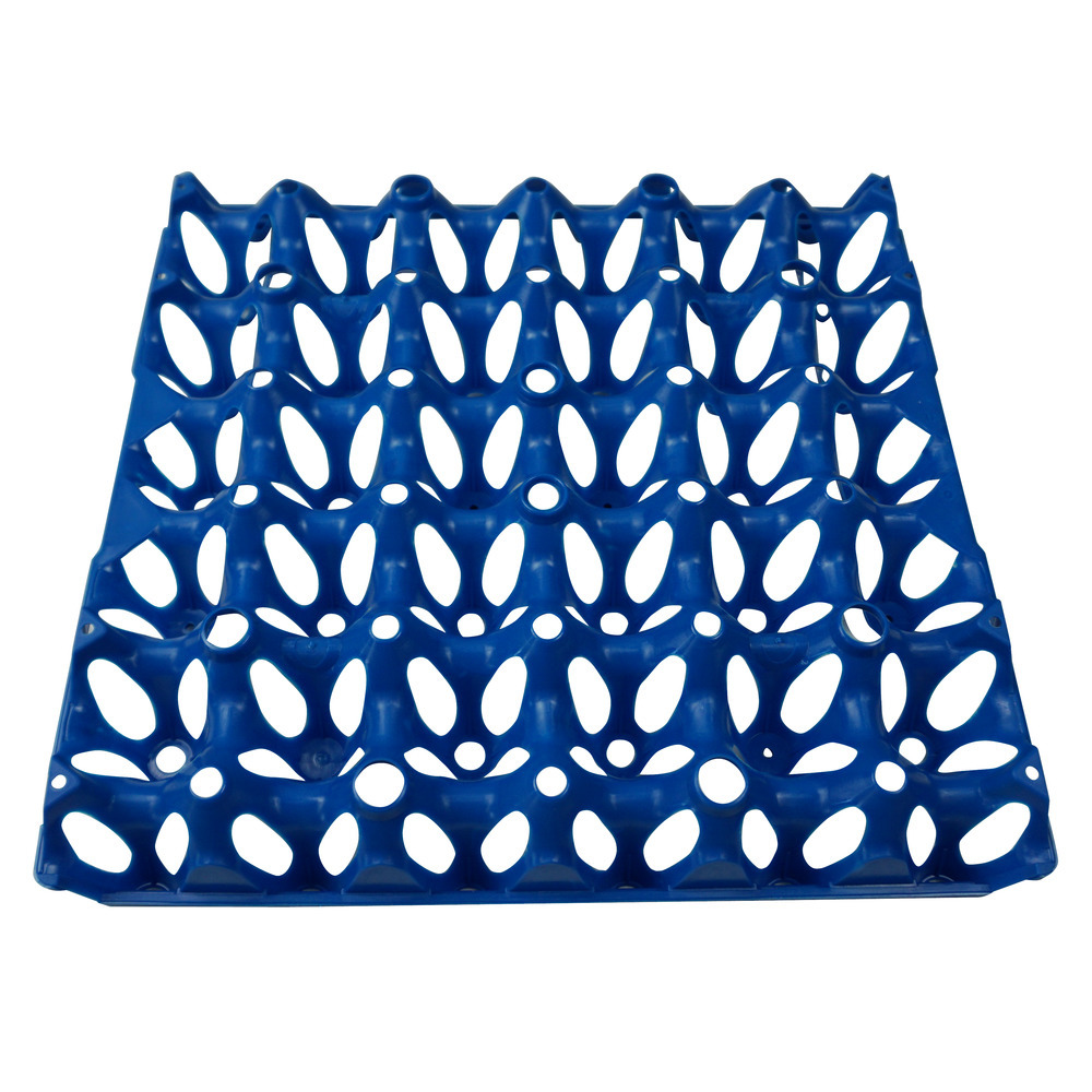 Eierlage für 30 Eier, Kunststoff