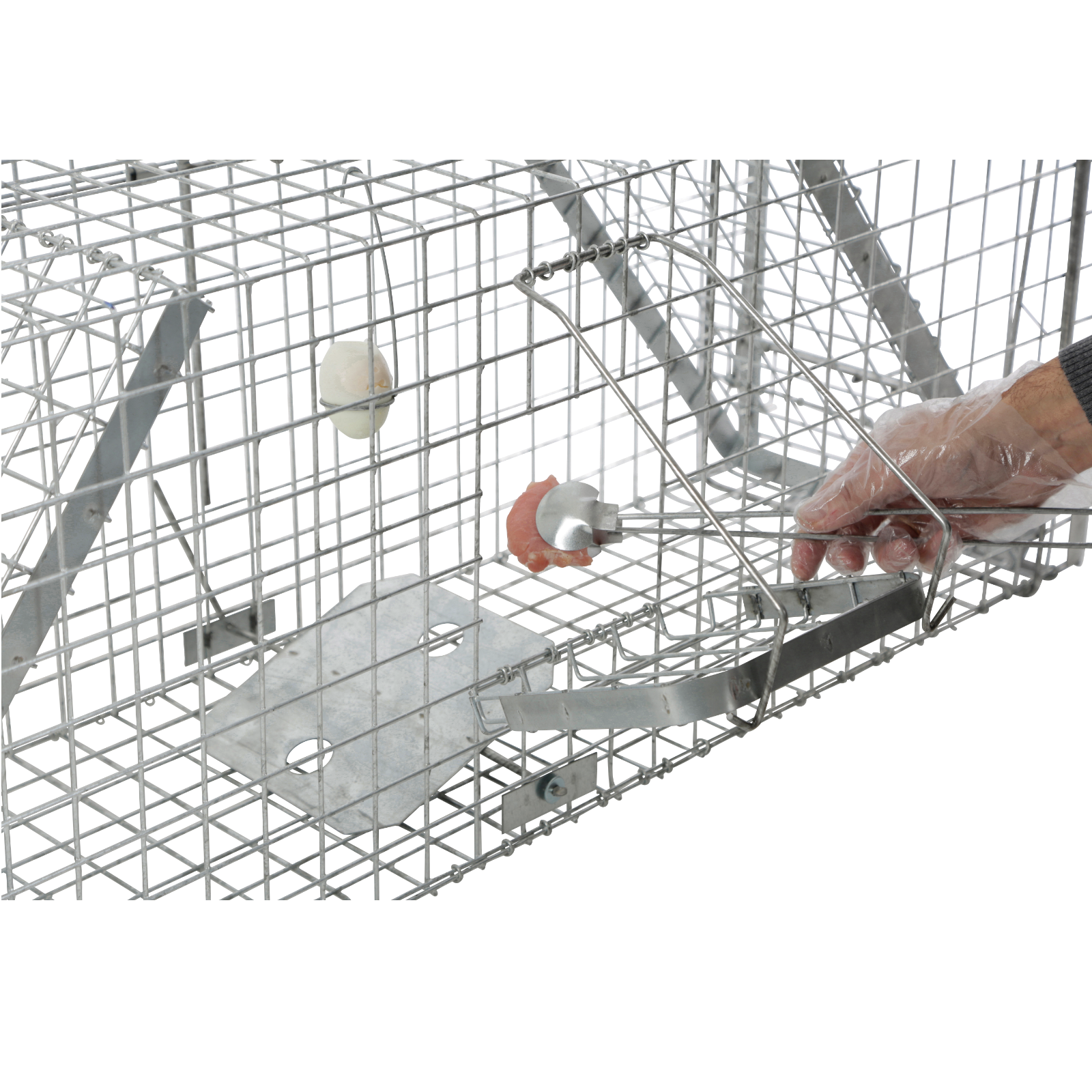 Kastenfalle Alive Predator Super 120 cm