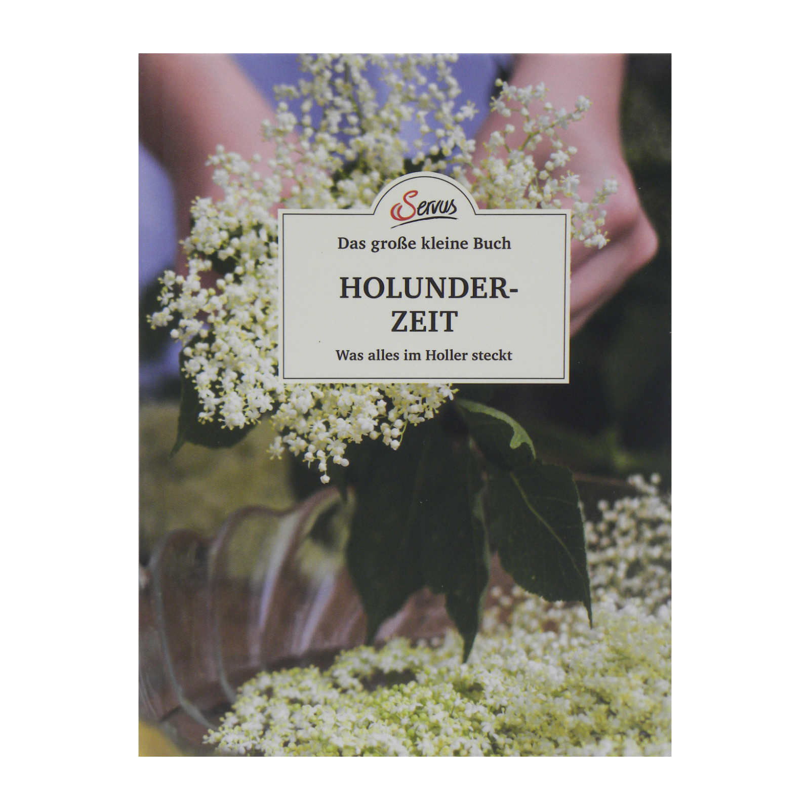 Le grand petit livre : l'heure du sureau