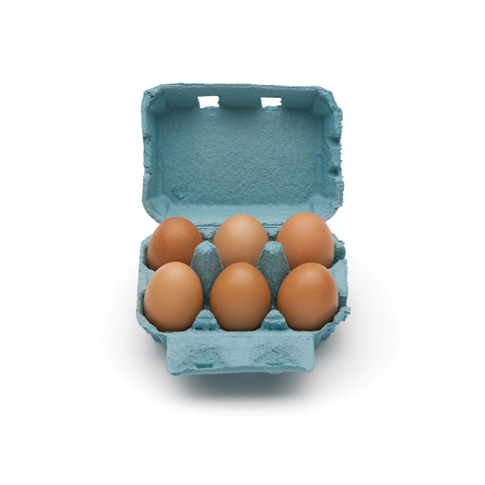 6er Eierschachtel blau