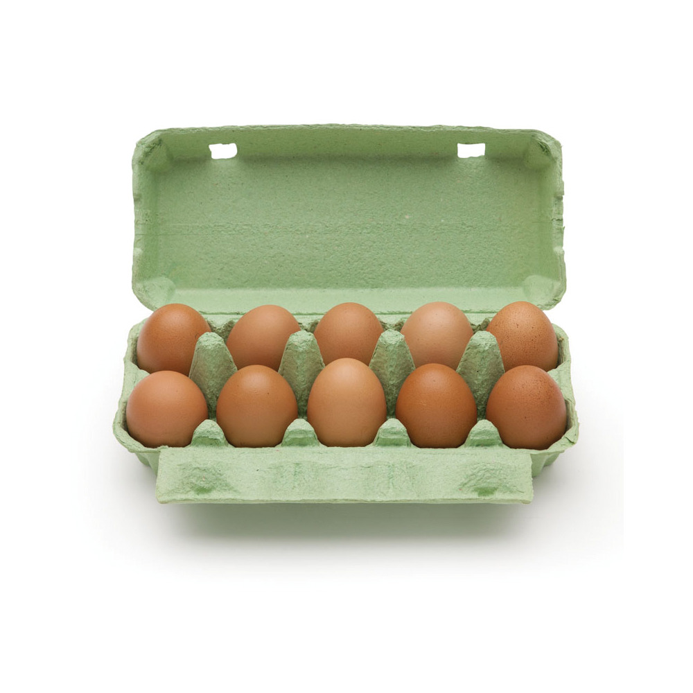 Boîte de 10 œufs verte