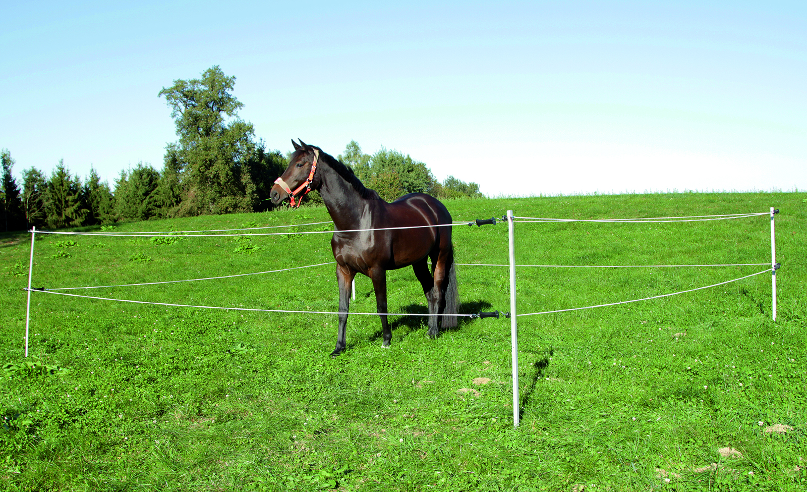Turnier-/Paddock-Set 7 x 7 m