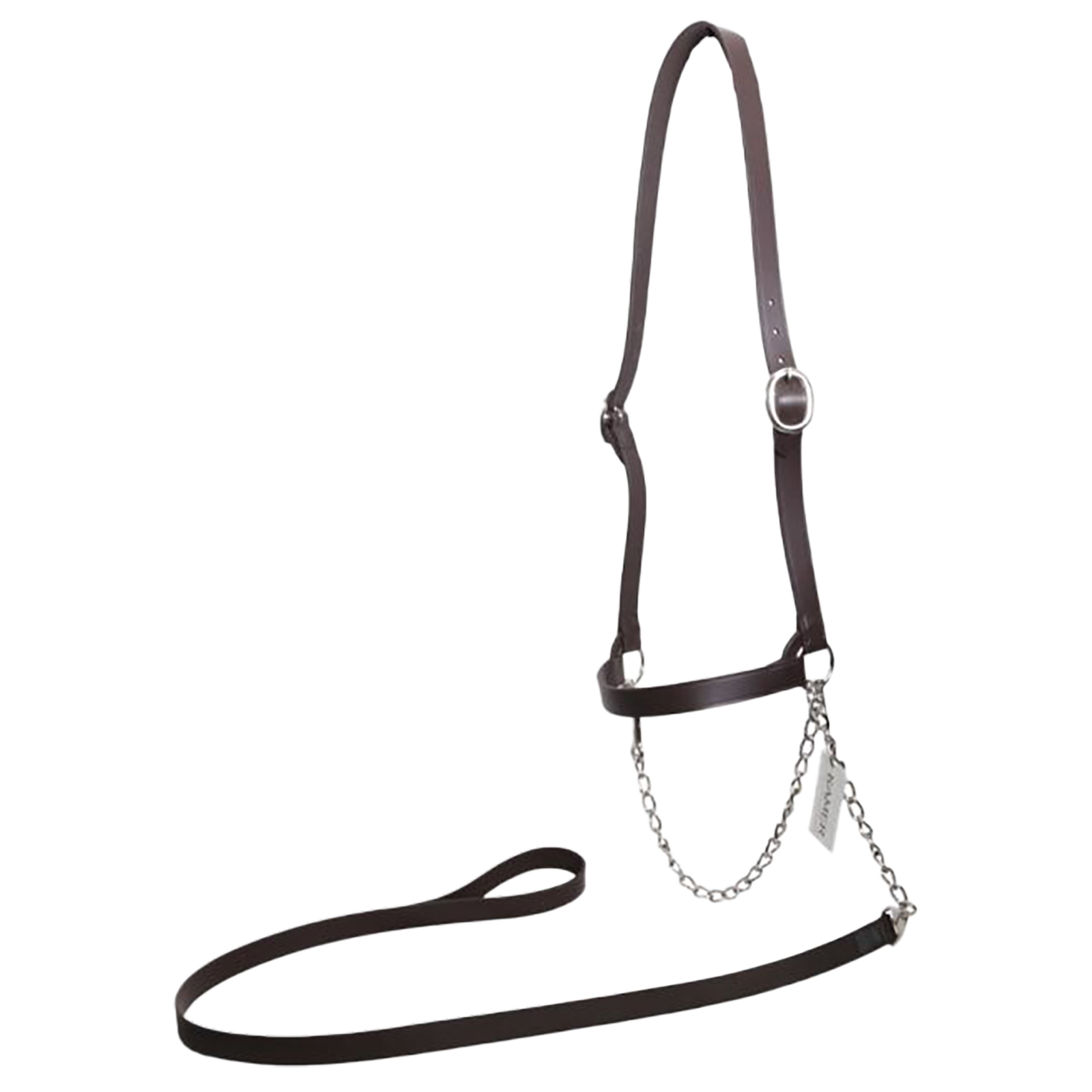 Licol de démonstration en cuir pour vaches