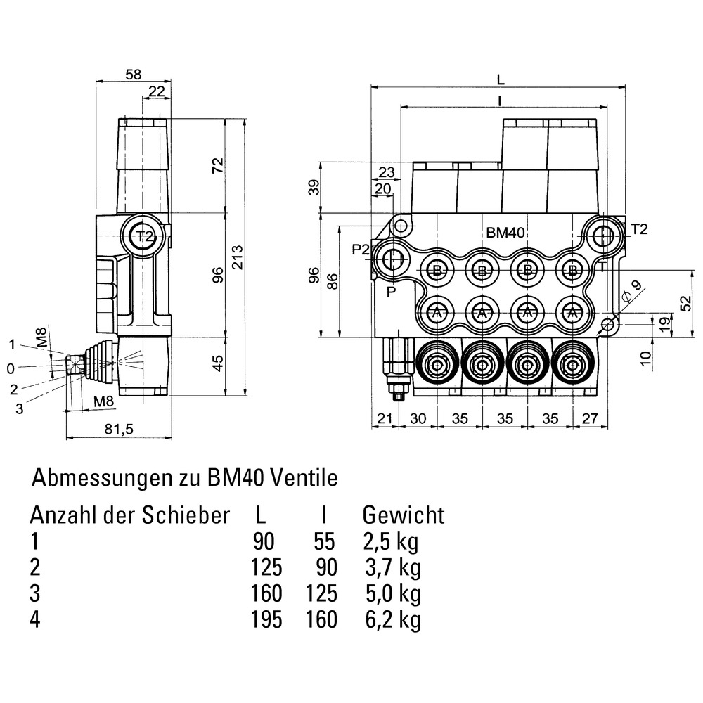 Steuerventil BM40/3 DW-SWR DW-SWR DW-SWR mit Federrückstellung
