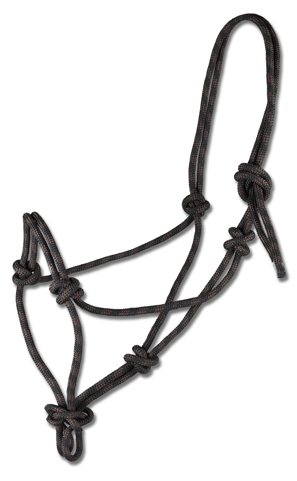 Poney licol à nœud