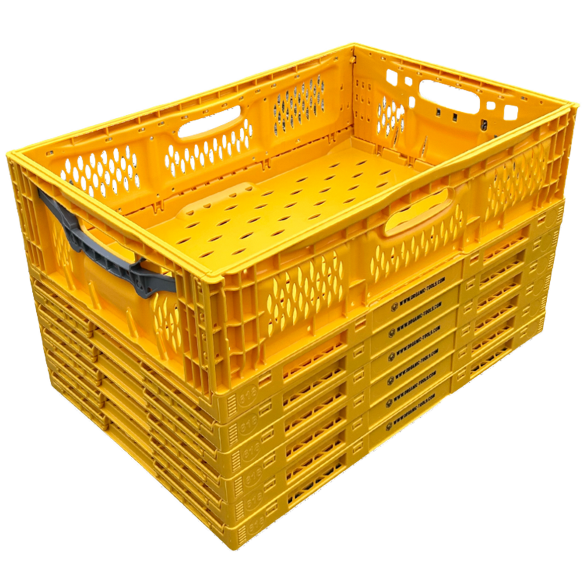 Caisses à fruits 6p. pliables