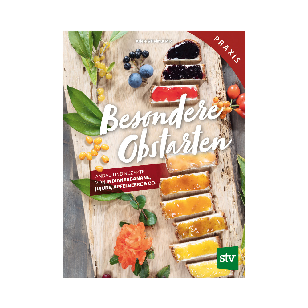 Types spéciaux de fruits