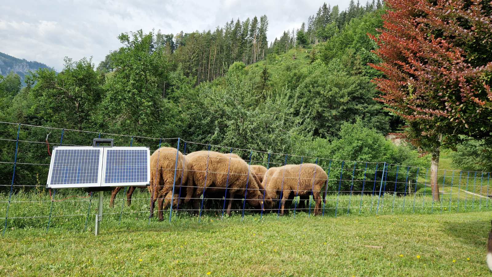 Weidezaungerät Solar SunPower S3000