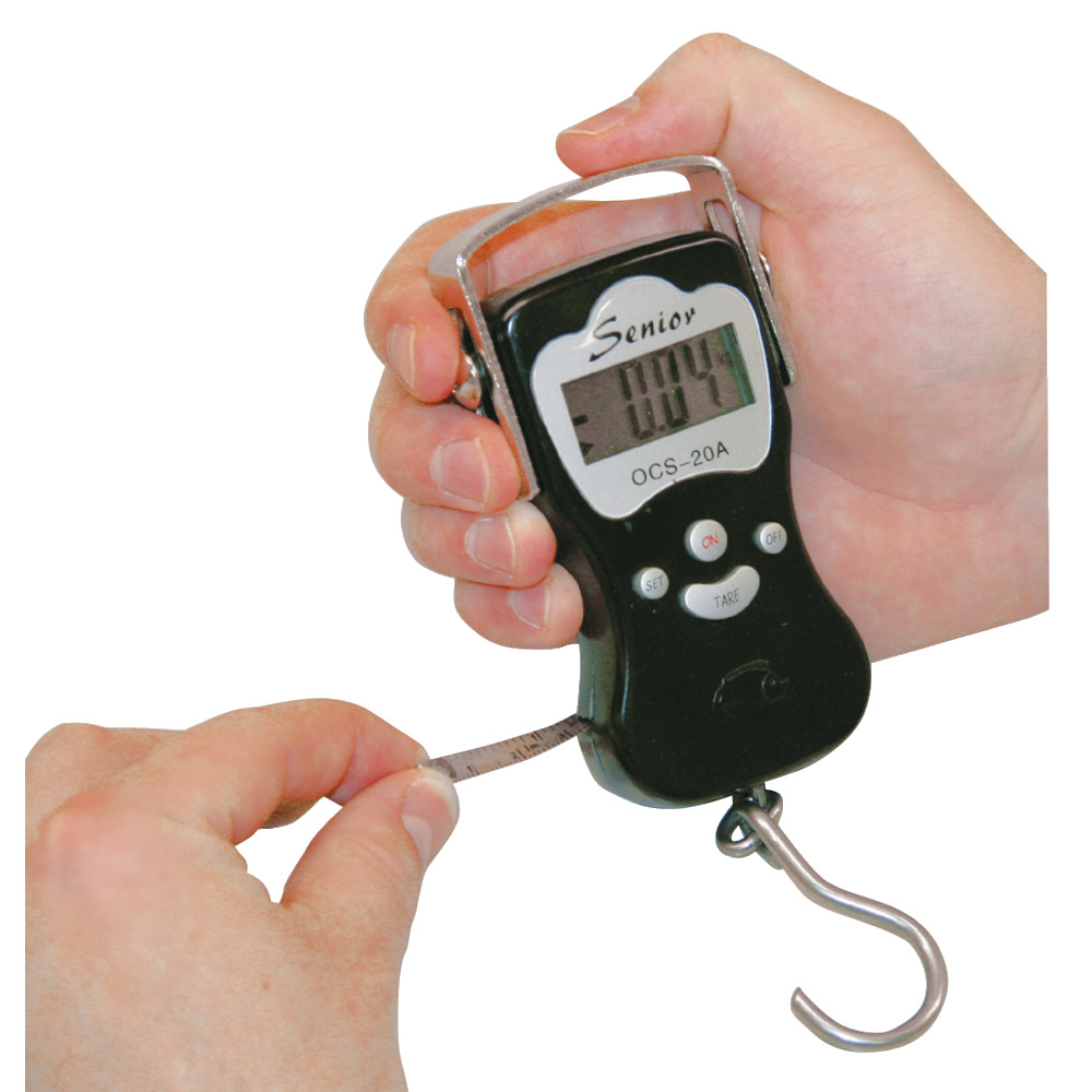 Balance numérique suspendue DigiScale 50