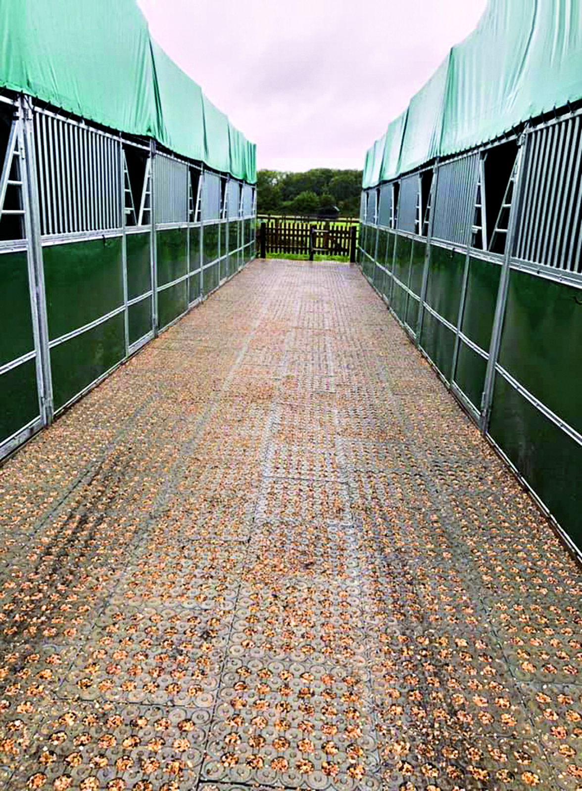 INB Paddockplatte grau