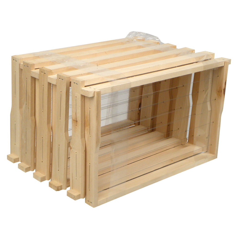 Cadre DNM plein format Hoffmann