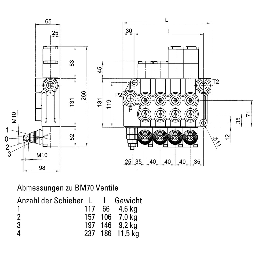 Steuerventil BM70/1, doppeltwirkend mit Raste in Heben &amp; Senken, für Ölmotor-FA65255